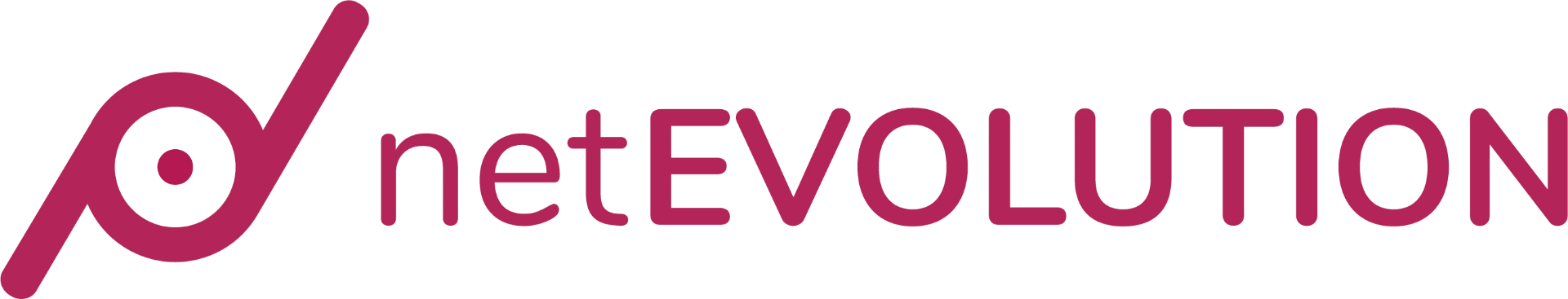 Logo NetEvolution