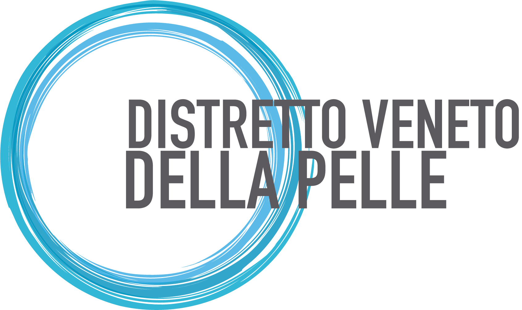 Logo Distretto Veneto della Pelle